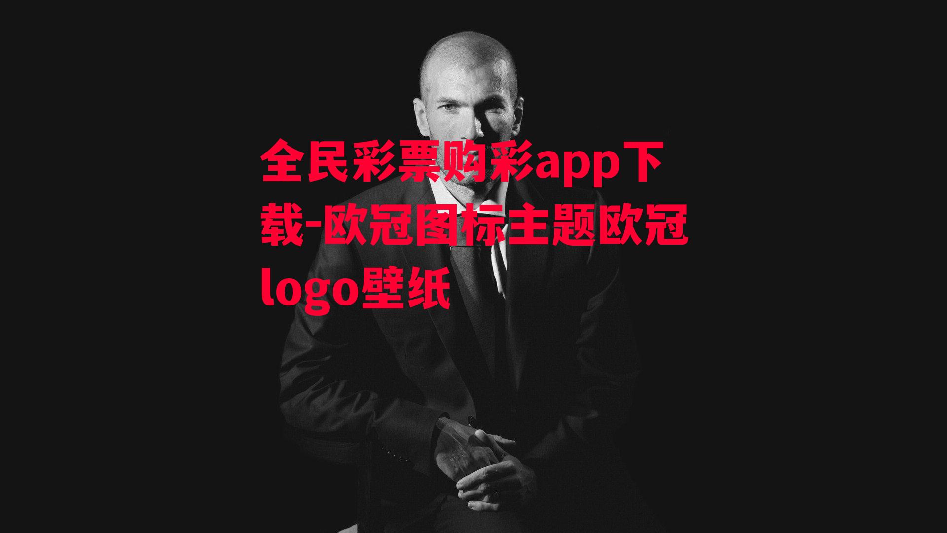 欧冠图标主题欧冠logo壁纸