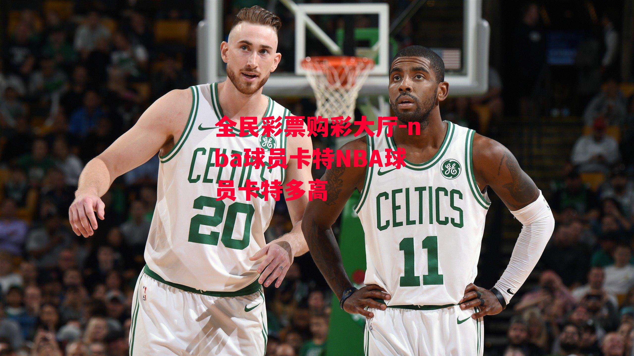 nba球员卡特NBA球员卡特多高